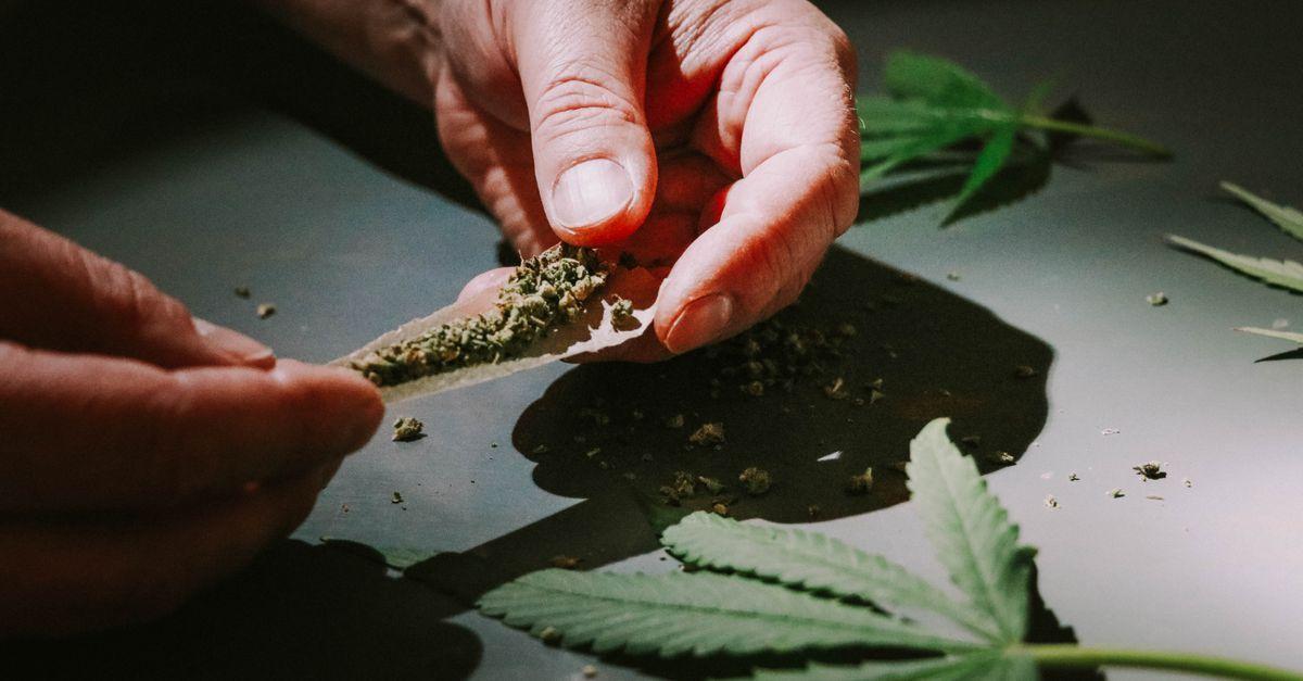 Como se especializar na terapia com derivados da cannabis